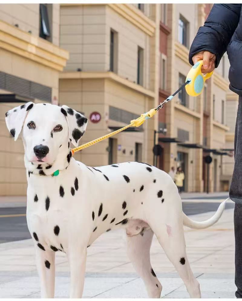 Automatic Retractable Dog Leash