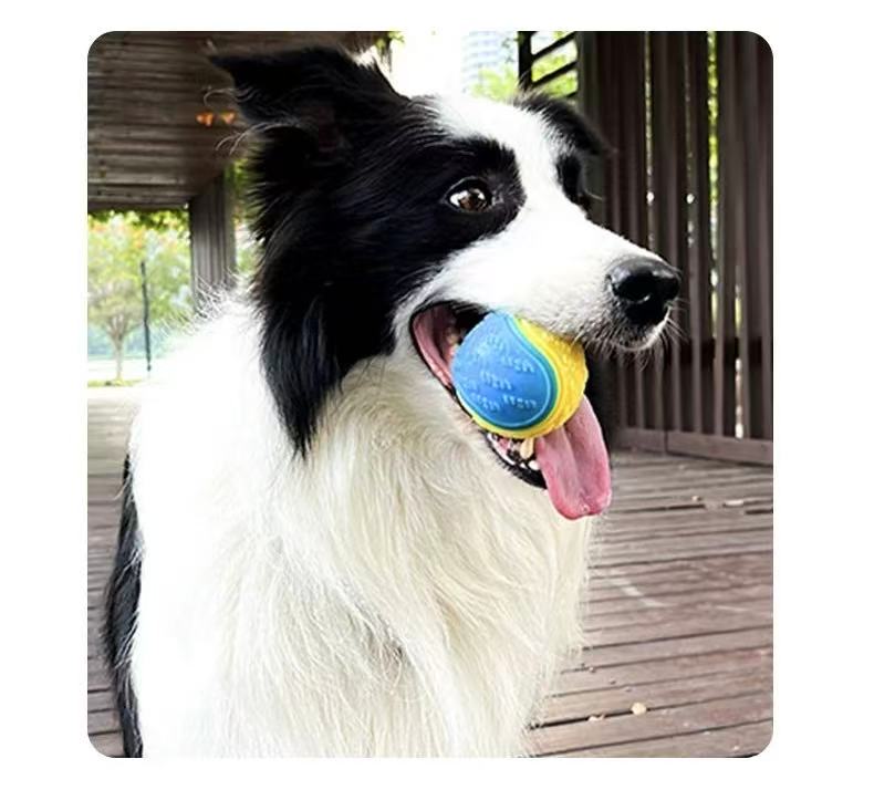 Chewable Dog Ball