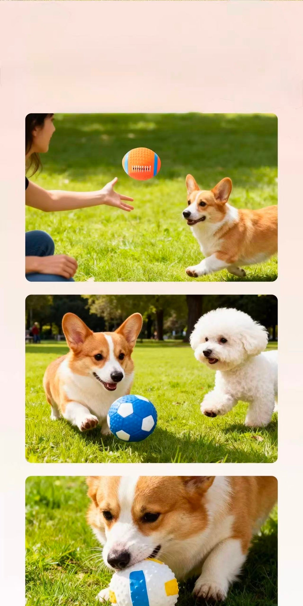 Sport Designed Squeaky Ball