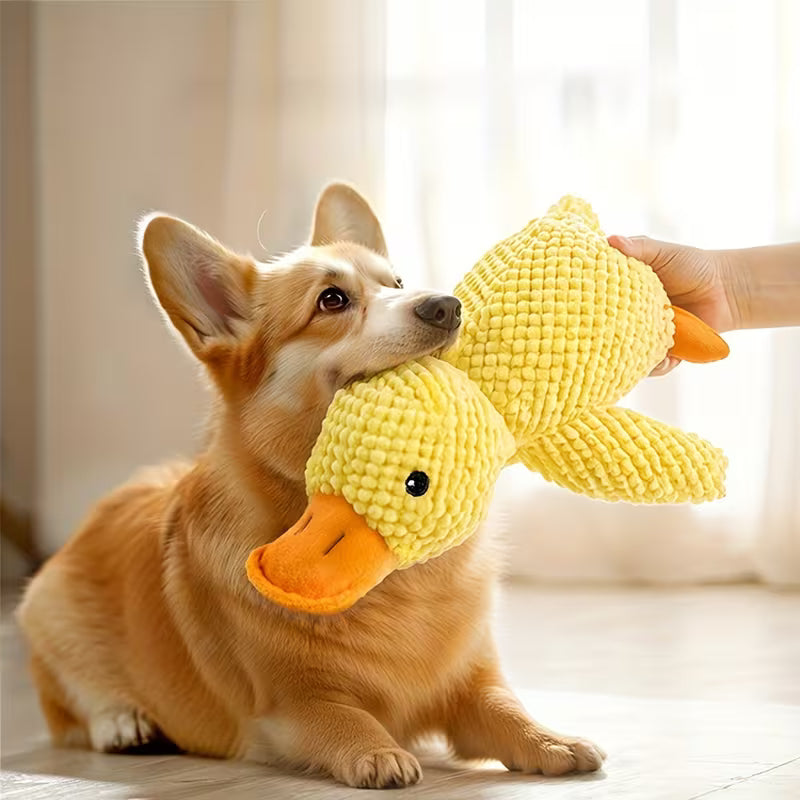 Little Yellow Duck Plush Squeaky Dog Toy