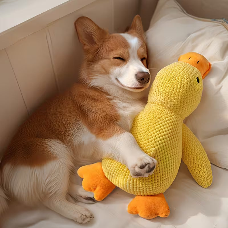 Little Yellow Duck Plush Squeaky Dog Toy