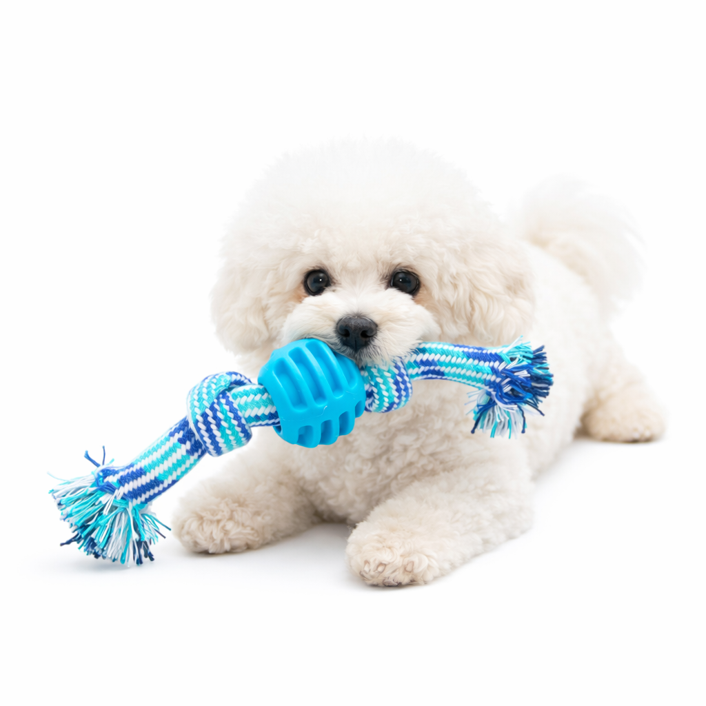Durable Dog Rope Toy with Rubber Ring – Interactive Chew & Tug Toy