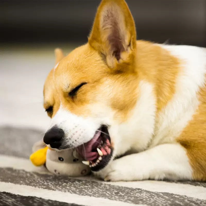 GiGwi Plush Friendz
