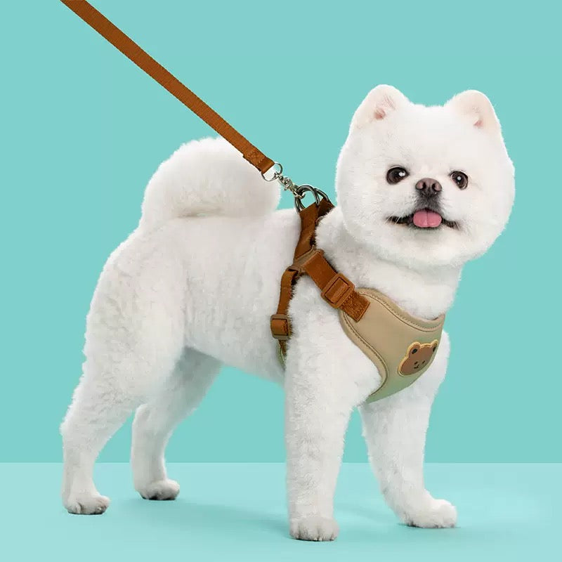 Designed harness leash combo