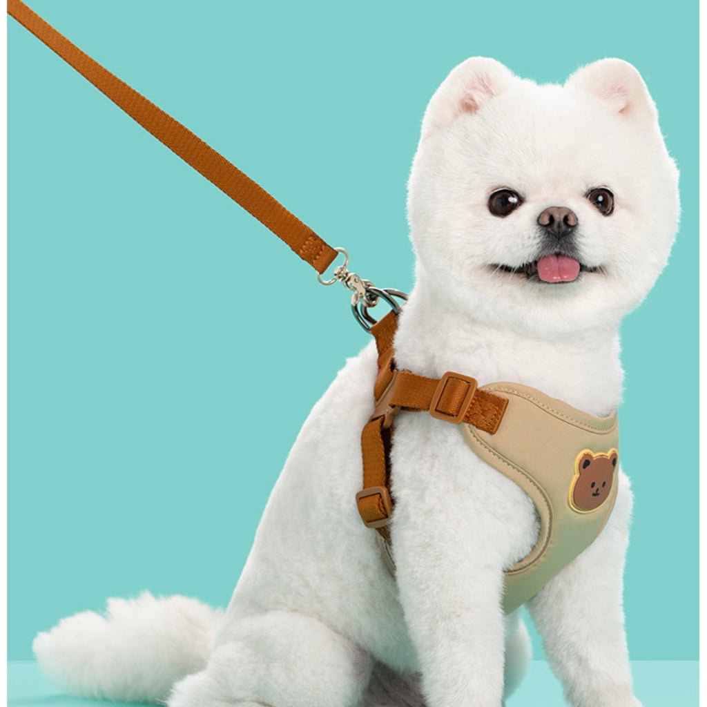 Designed harness leash combo