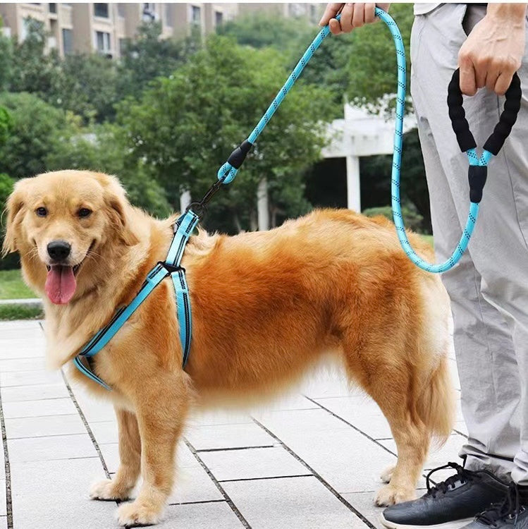 Nylon Dog Leash