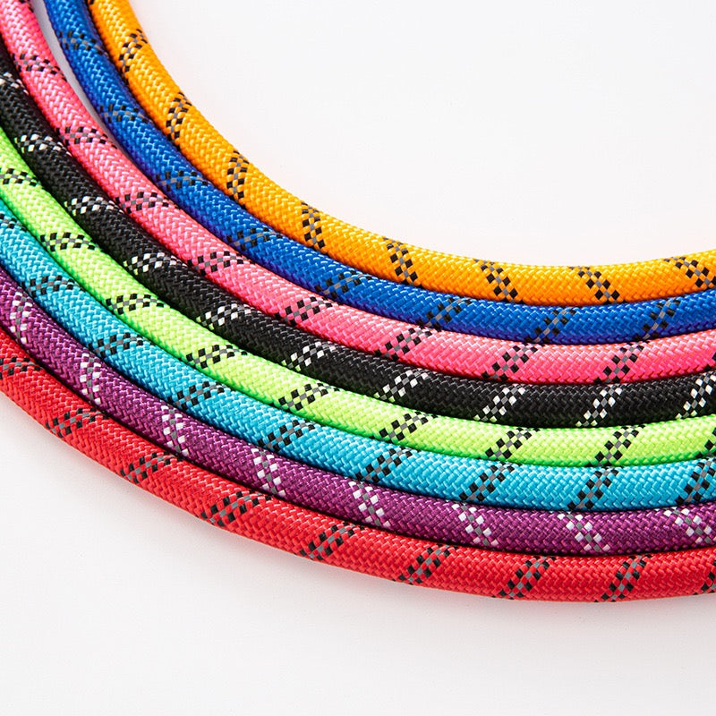 Nylon Dog Leash