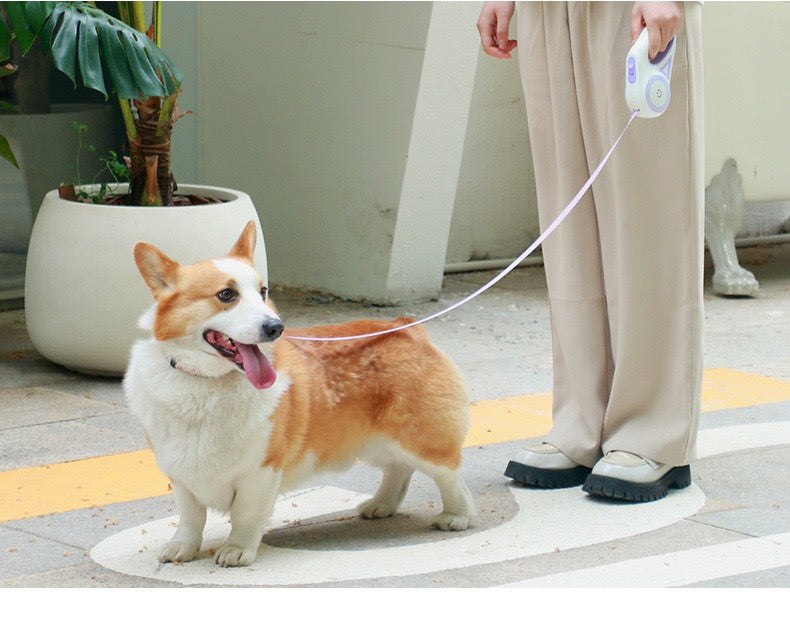 Automatic Retractable Dog Leash with LED Flash Light