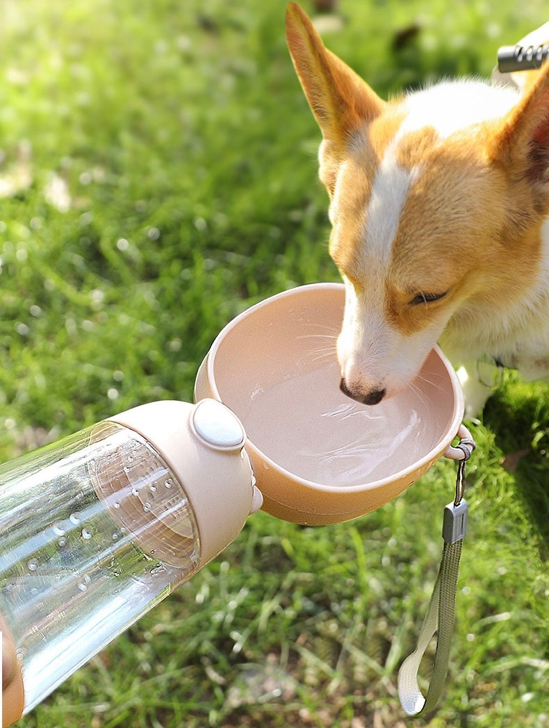 Portable Dog Water Bottle