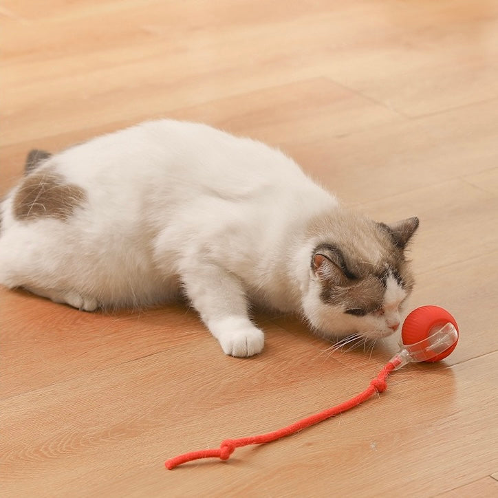 Interactive Electric Cat Toy - Self-Rolling Ball with Fuzzy Tail
