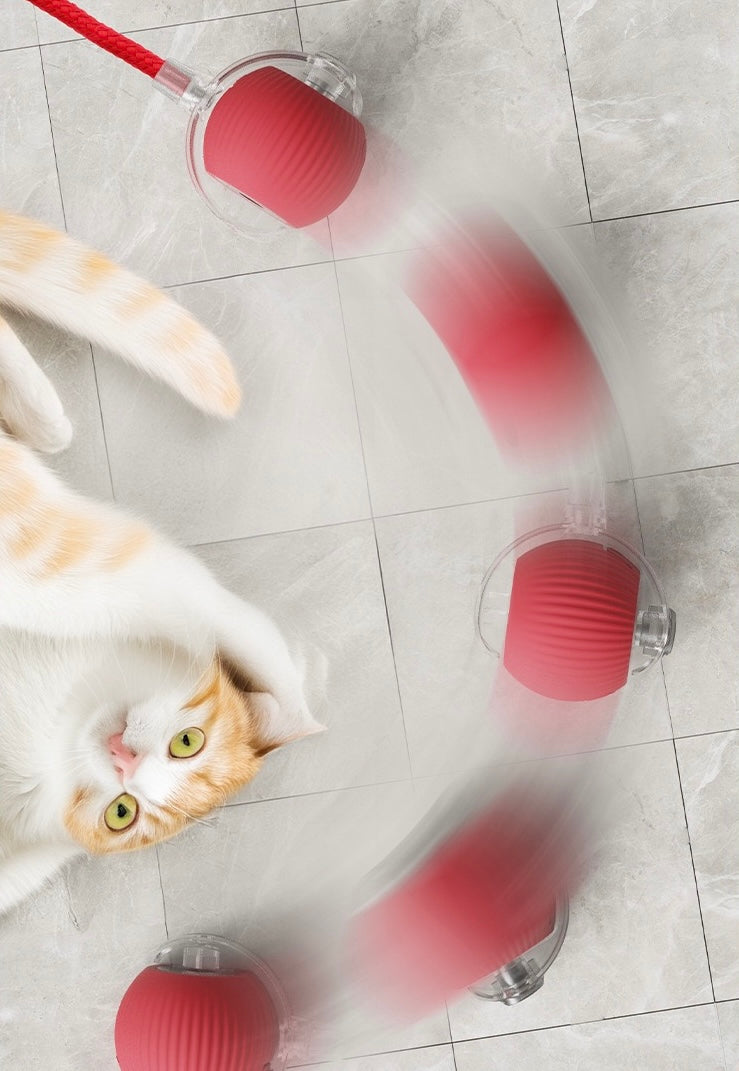 Interactive Electric Cat Toy - Self-Rolling Ball with Fuzzy Tail