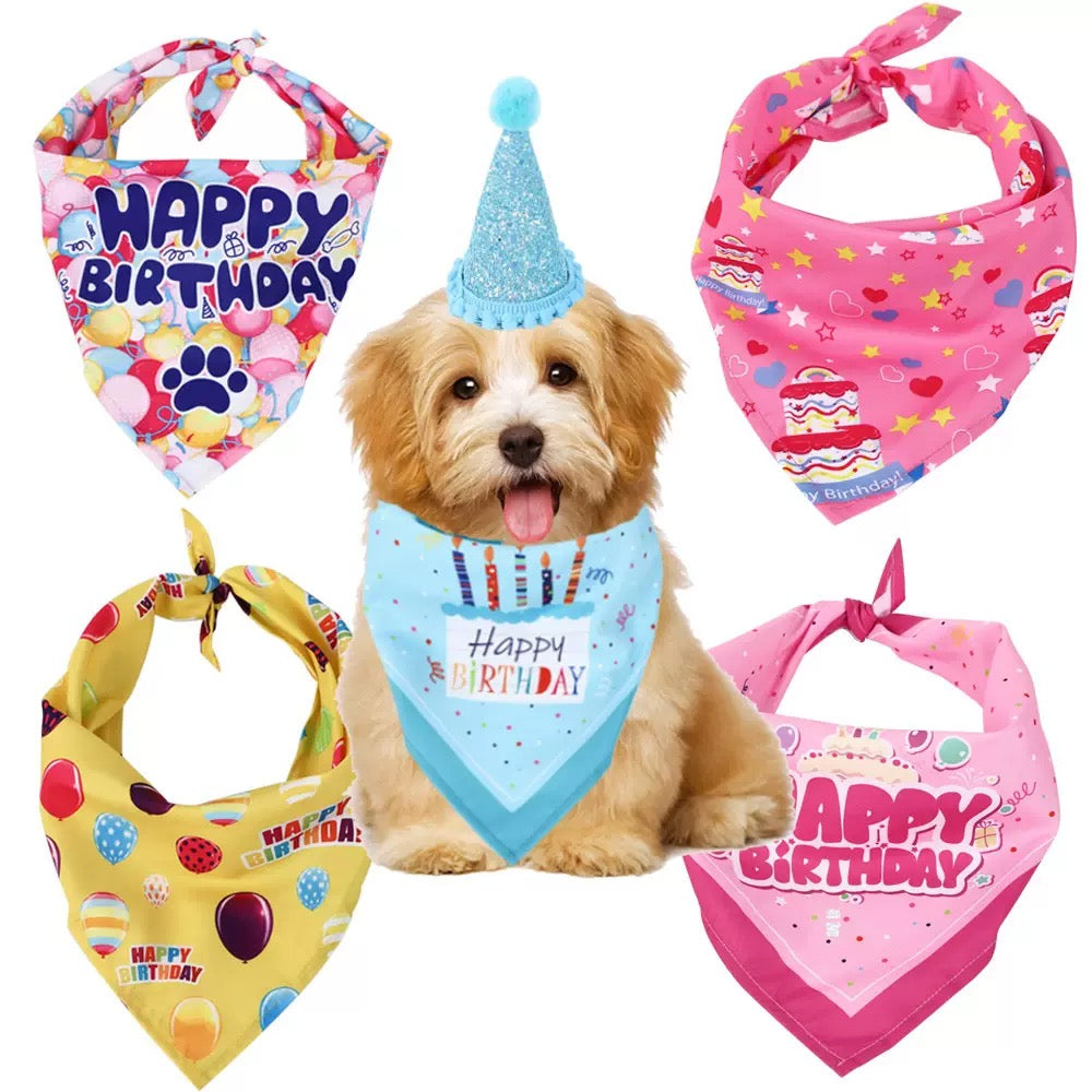 Pet Birthday Party Hat & Bandana Set