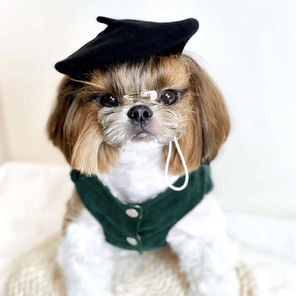 French Style Pet Wool Beret Hat