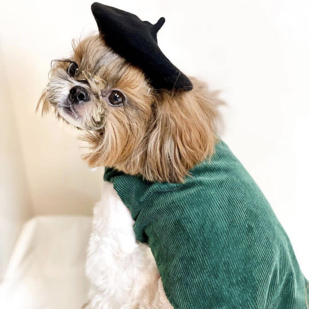 French Style Pet Wool Beret Hat
