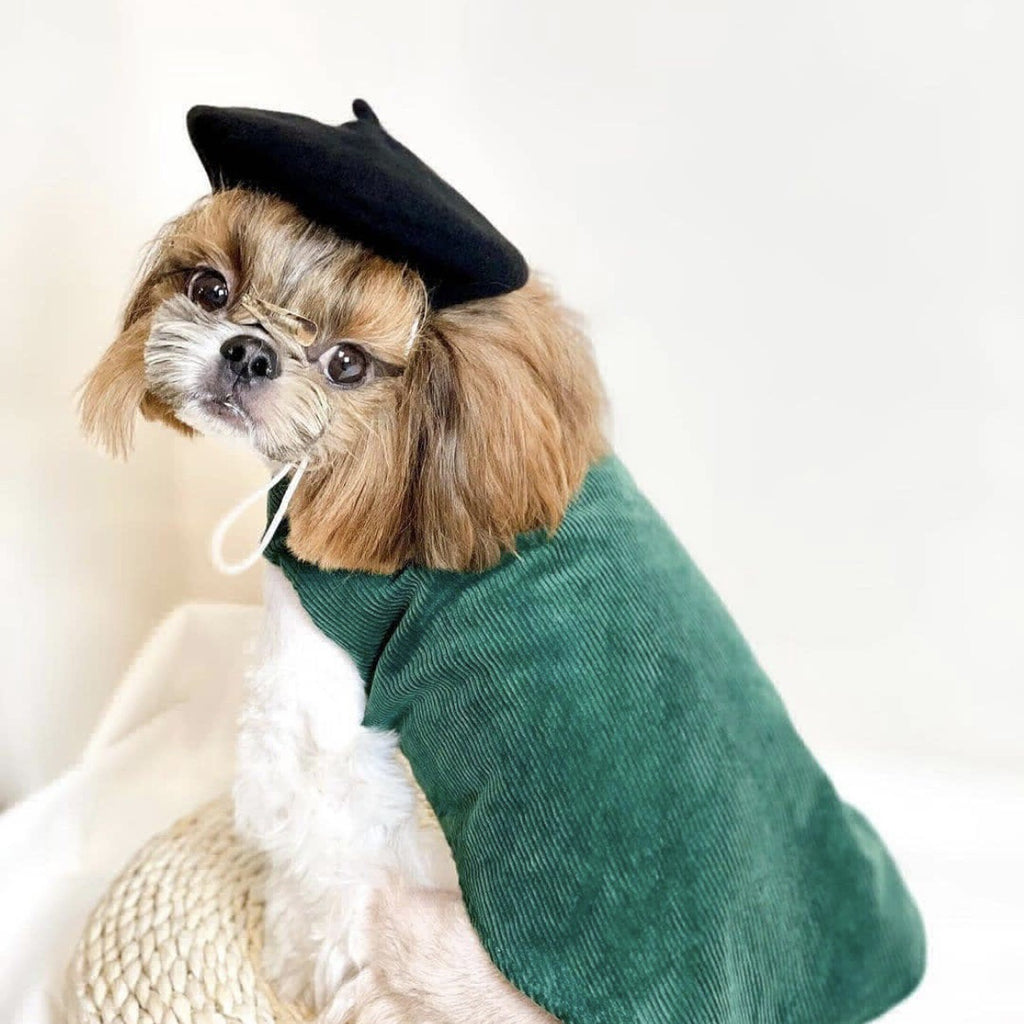French Style Pet Wool Beret Hat