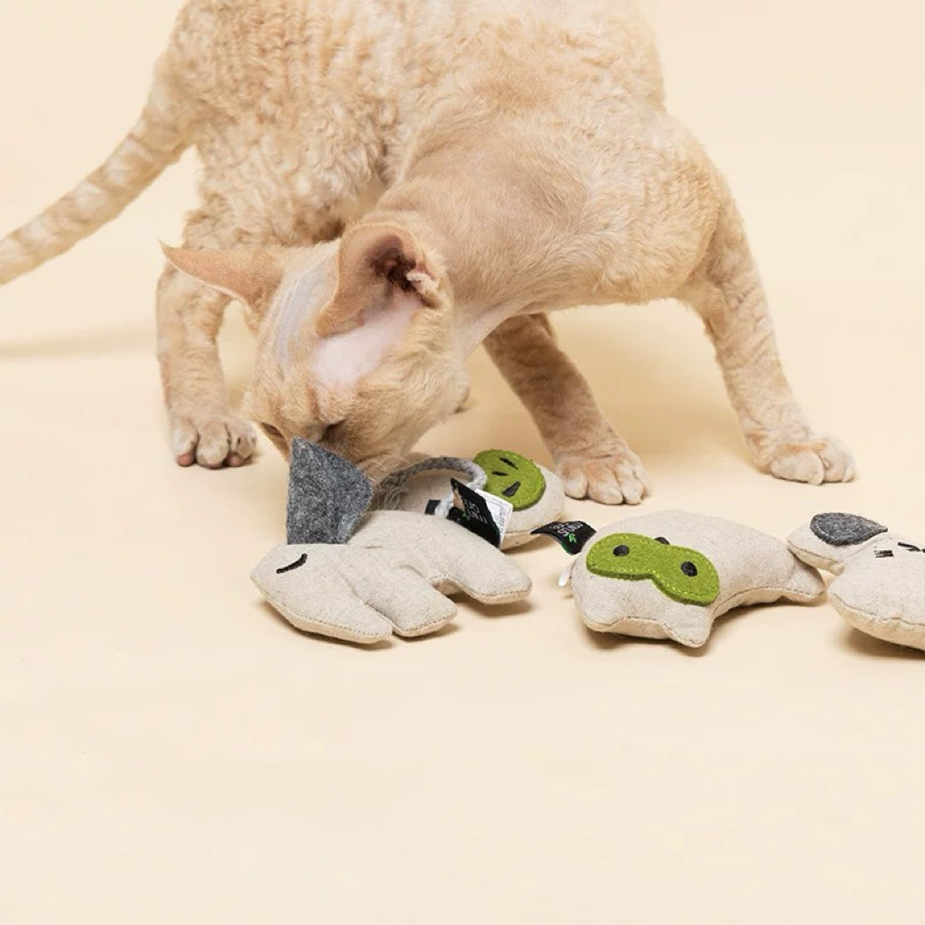 Catnip Plush Cat Toy – Soft Interactive Kitty Toy for Indoor Cats