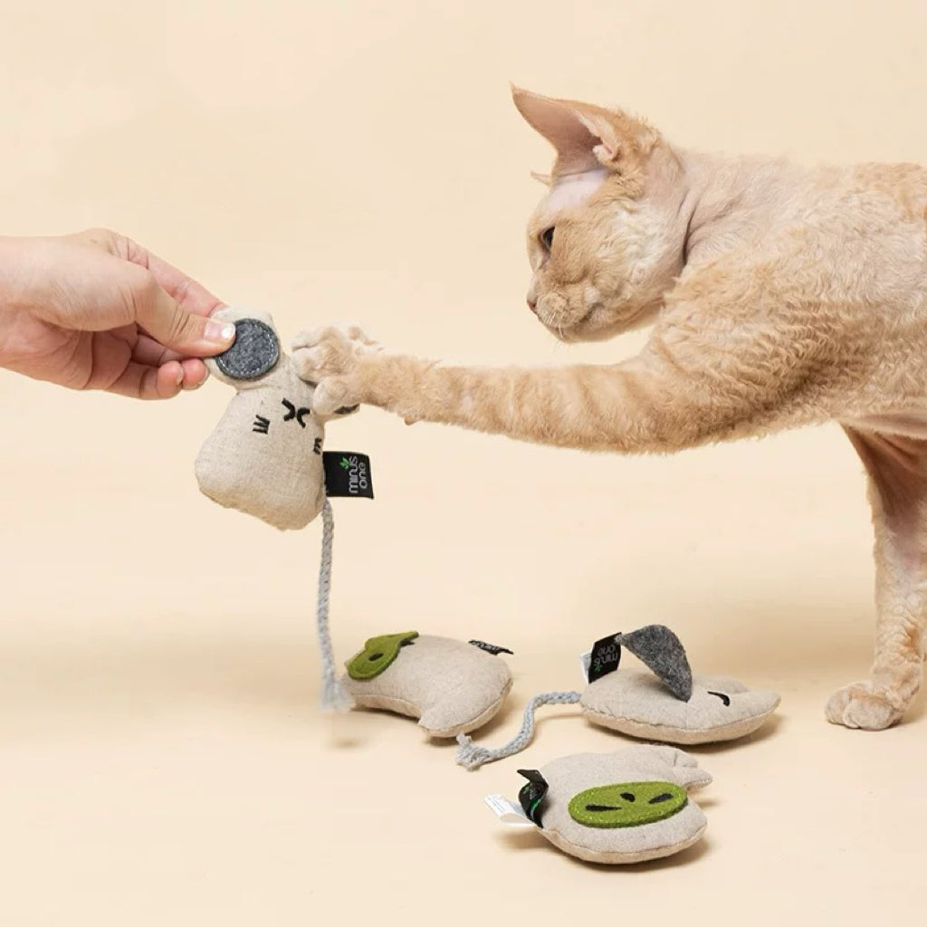 Catnip Plush Cat Toy – Soft Interactive Kitty Toy for Indoor Cats