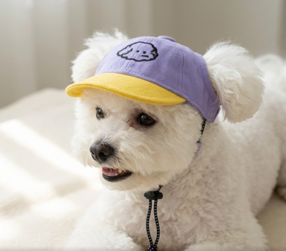Cute Pet Baseball Cap