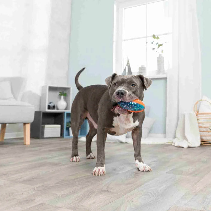 GiGwi Squeaky Rugby Ball