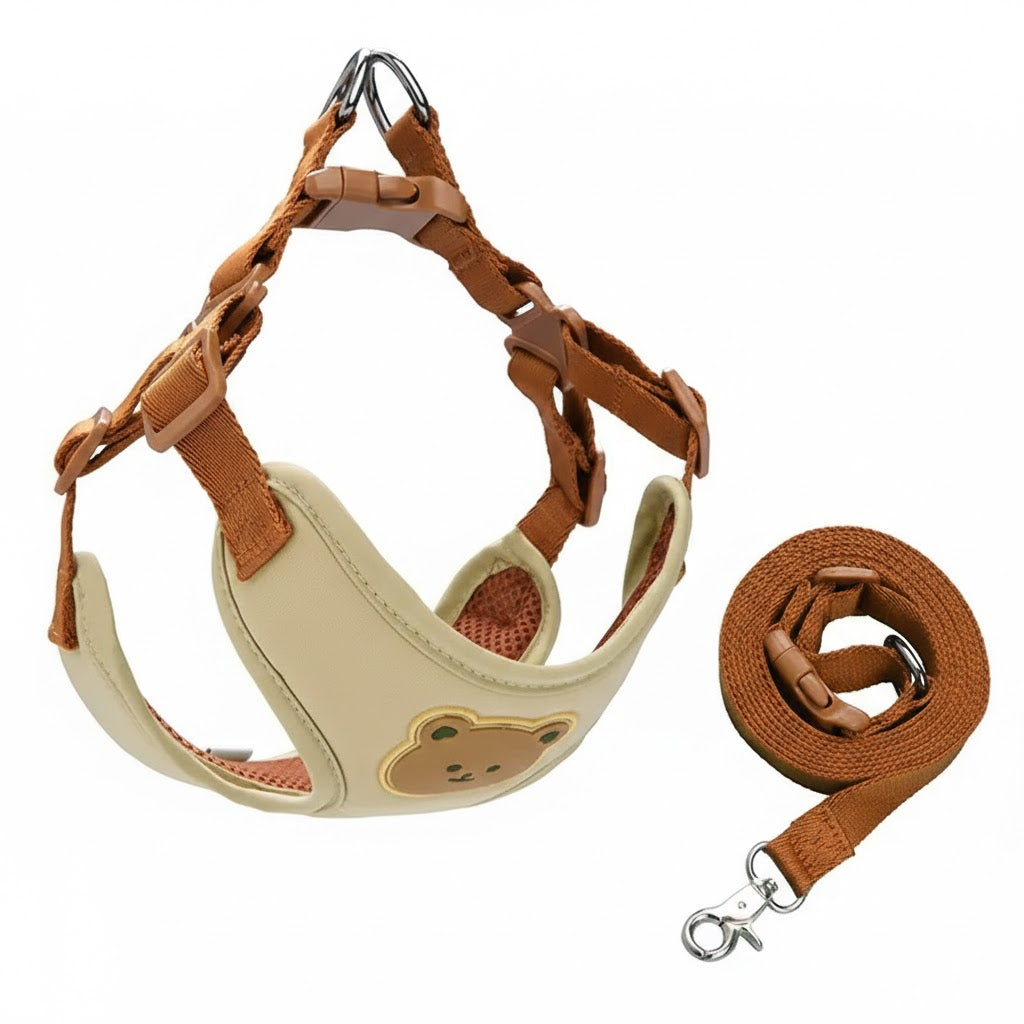 Designed harness leash combo