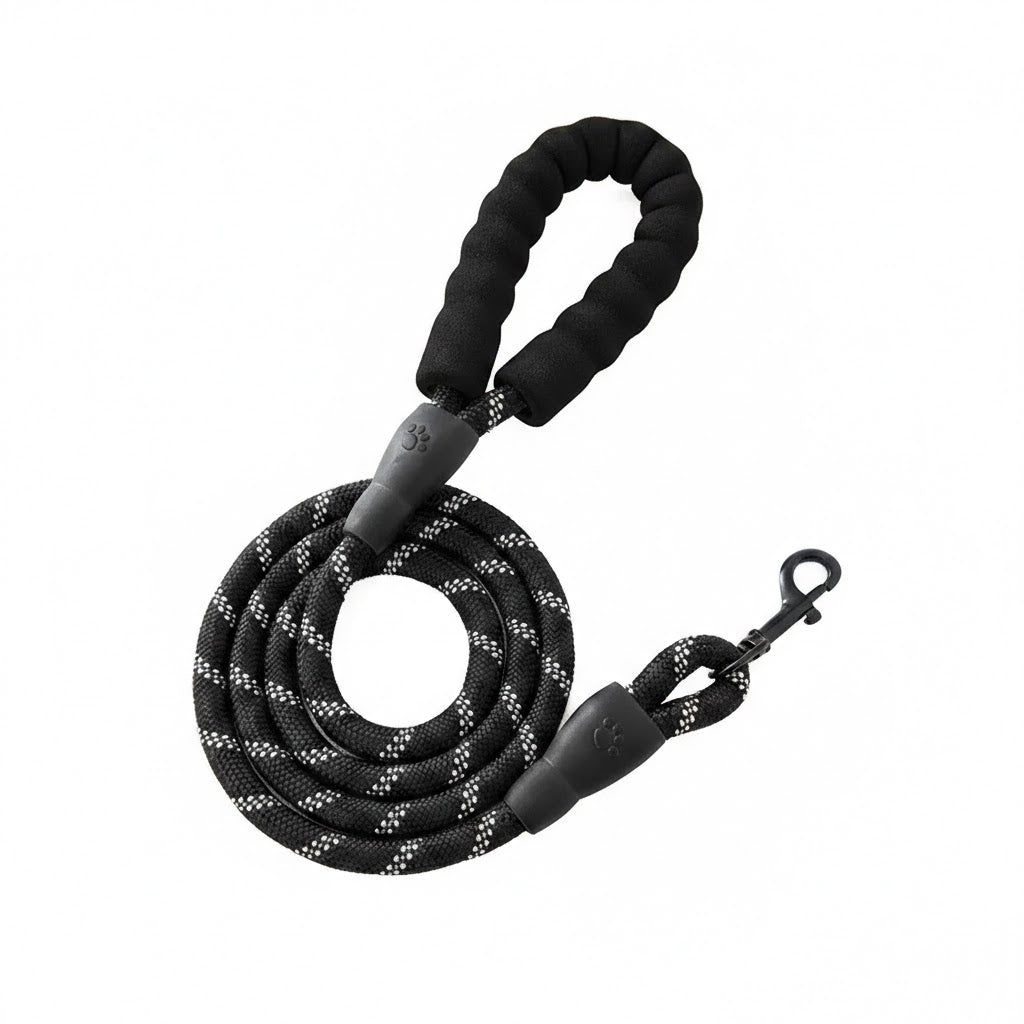Nylon Dog Leash