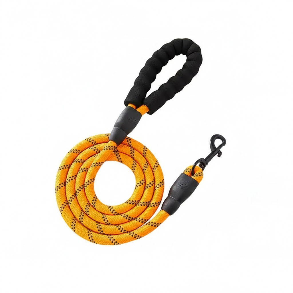 Nylon Dog Leash