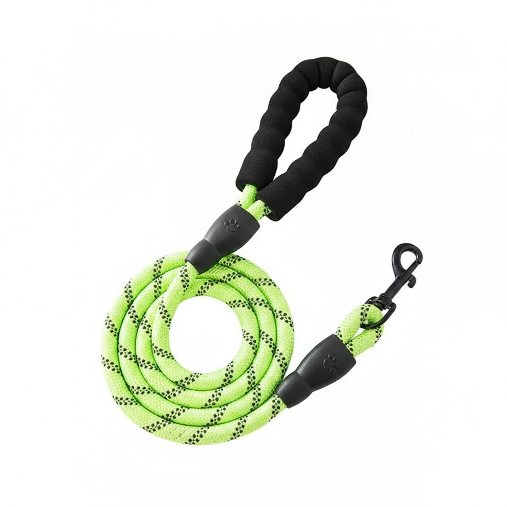 Nylon Dog Leash